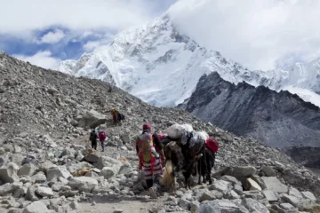 La milenaria ruta al monte sagrado del dios Shiva enfrenta a los tres dueños del Himalaya